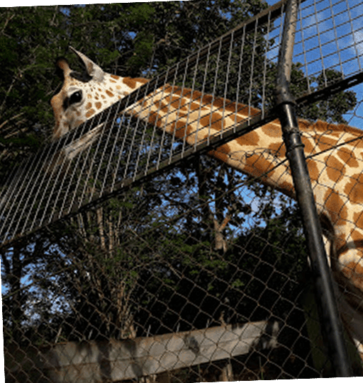 UI Zoological Garden